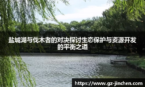 盐城湖与伐木者的对决探讨生态保护与资源开发的平衡之道